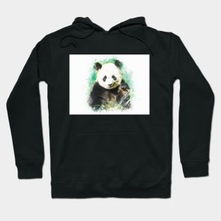 Panda Bear Animal Forest Wildlife China Bamboo Nature Asia Digital Painting Hoodie